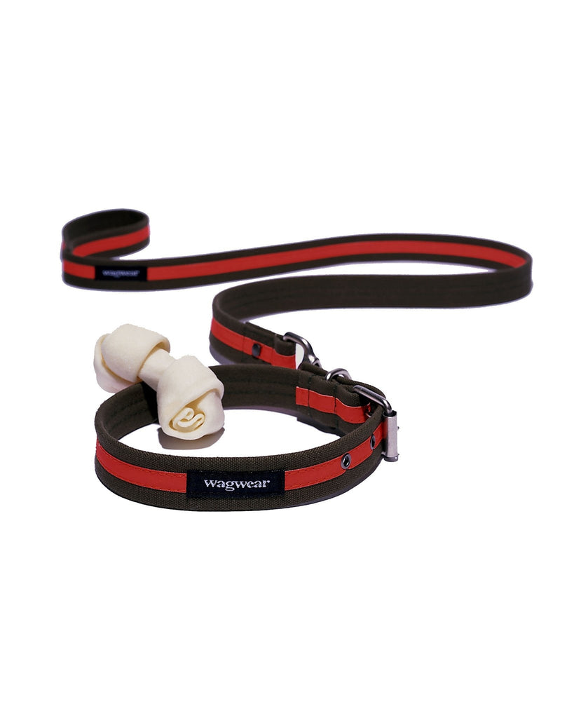 Canvas Reflective Collar and Leash - Rocky & Maggie's Pet Boutique and Salon