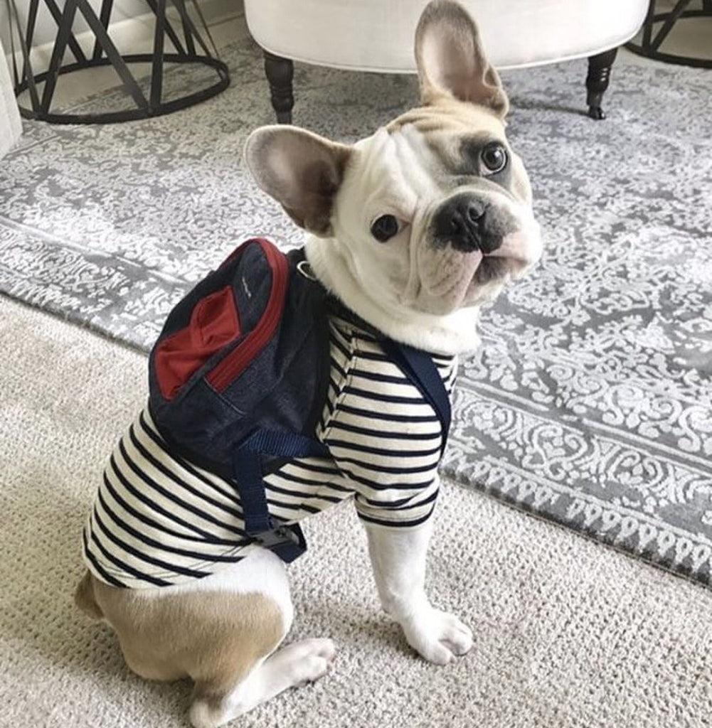Canvas Mini Dog Backpack - Rocky & Maggie's Pet Boutique and Salon