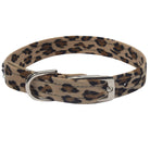 Cheetah Couture Crystal Rocks Collar - Rocky & Maggie's Pet Boutique and Salon