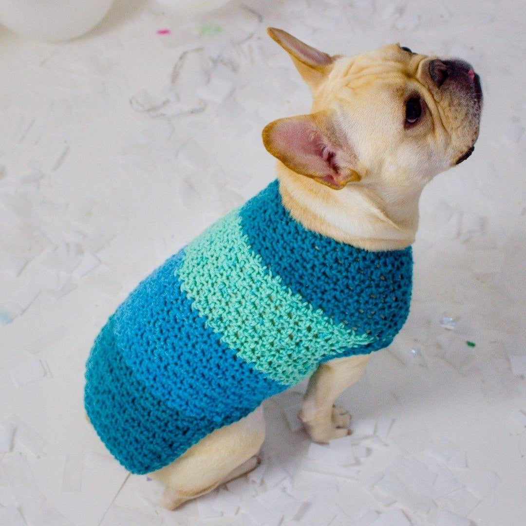 Needle Craft Lovers Crinkle Sweater - Rocky & Maggie's Pet Boutique and Salon