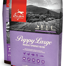 Orijen Puppy Large Breed Dog food - Rocky & Maggie's Pet Boutique and Salon