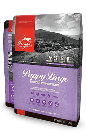 Orijen Puppy Large Breed Dog food - Rocky & Maggie's Pet Boutique and Salon