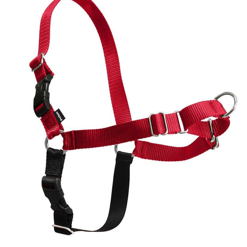 Easy Walk Harness - Rocky & Maggie's Pet Boutique and Salon