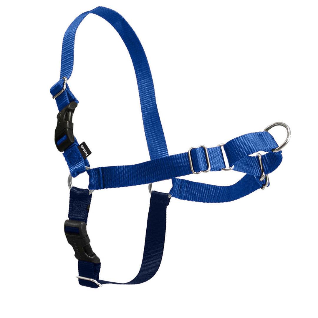 Easy Walk Harness - Rocky & Maggie's Pet Boutique and Salon