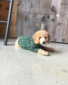 Fisherman Sweater - Rocky & Maggie's Pet Boutique and Salon