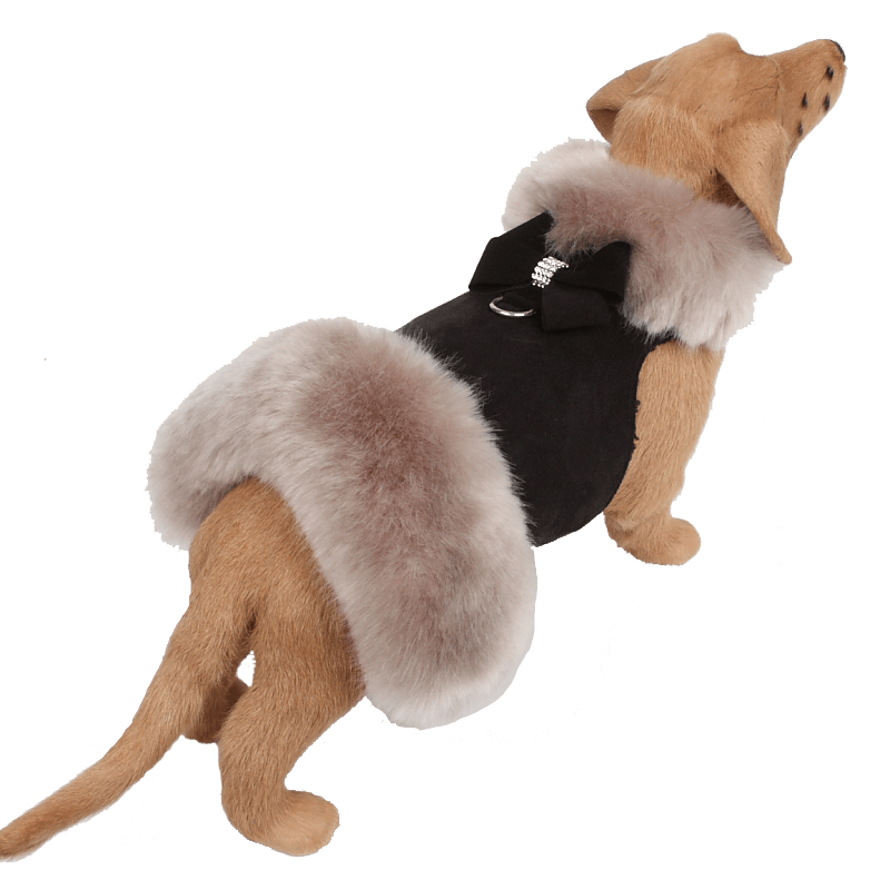 Soft Silver Fox Fur Coat - Rocky & Maggie's Pet Boutique and Salon