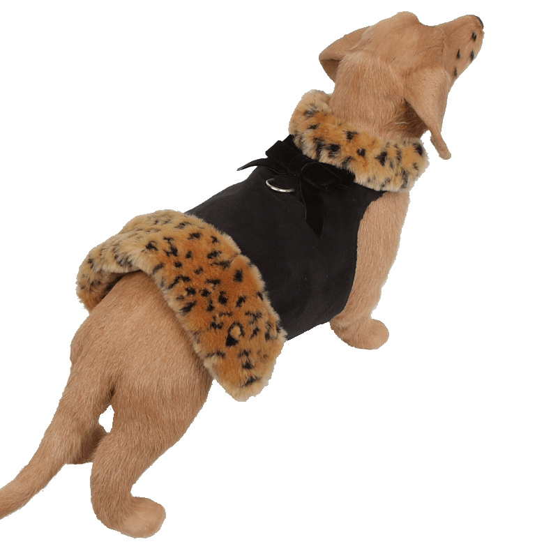 Camel Lynx Fur Coat - Rocky & Maggie's Pet Boutique and Salon