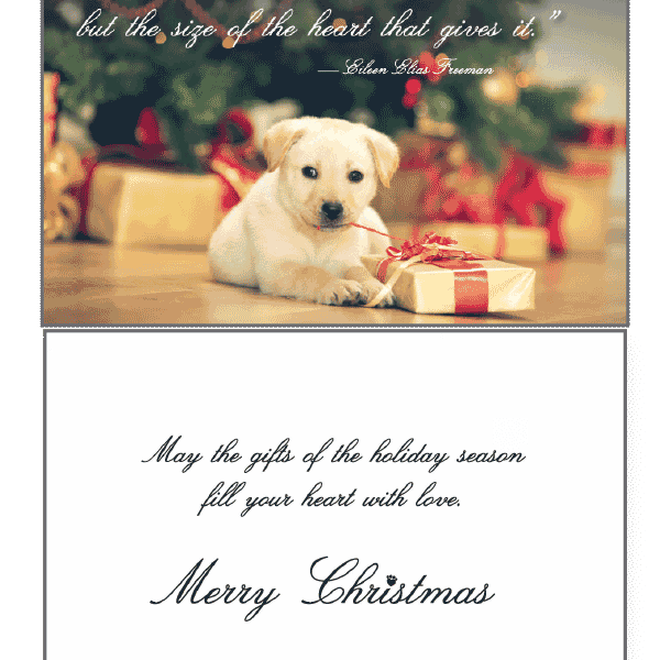 It Isnt The Size Greeting Card - Rocky & Maggie's Pet Boutique and Salon