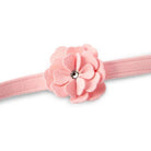 Pink Tinkie's Garden Leash - Rocky & Maggie's Pet Boutique and Salon