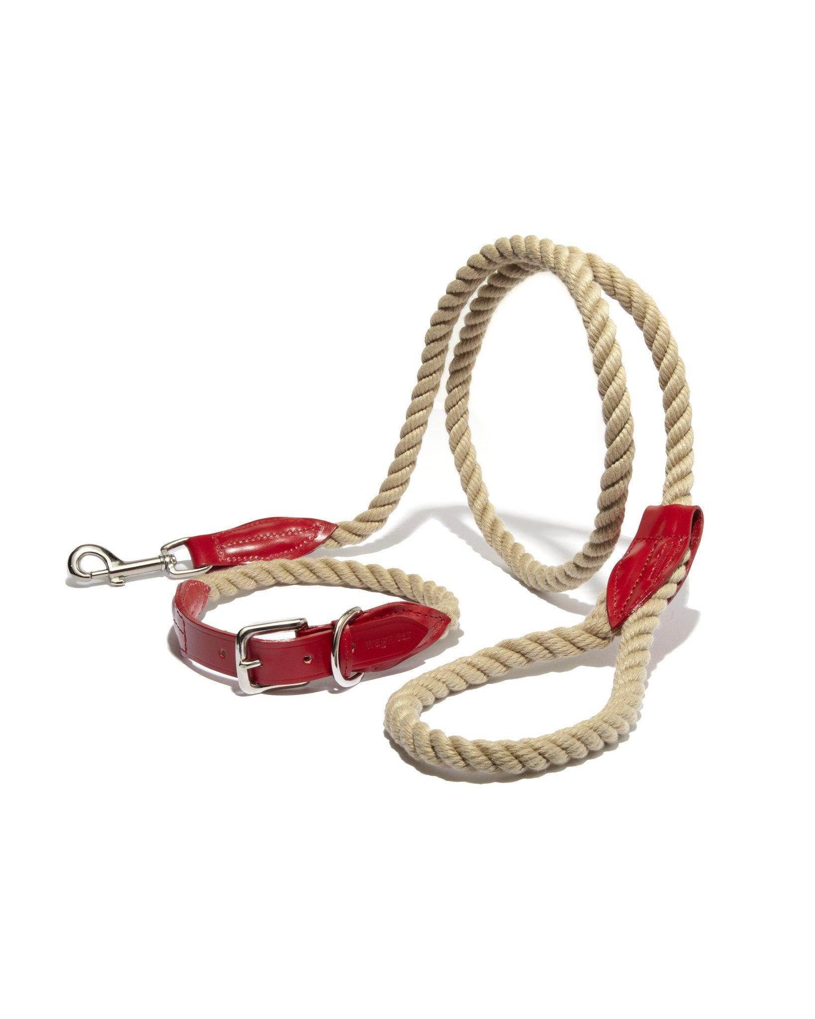 Leather & Rope Collar and Leash - Rocky & Maggie's Pet Boutique and Salon