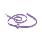 Big Bow Leash - Rocky & Maggie's Pet Boutique and Salon