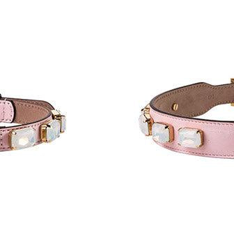 Jewel Collar from Frida Firenze - Rocky & Maggie's Pet Boutique and Salon