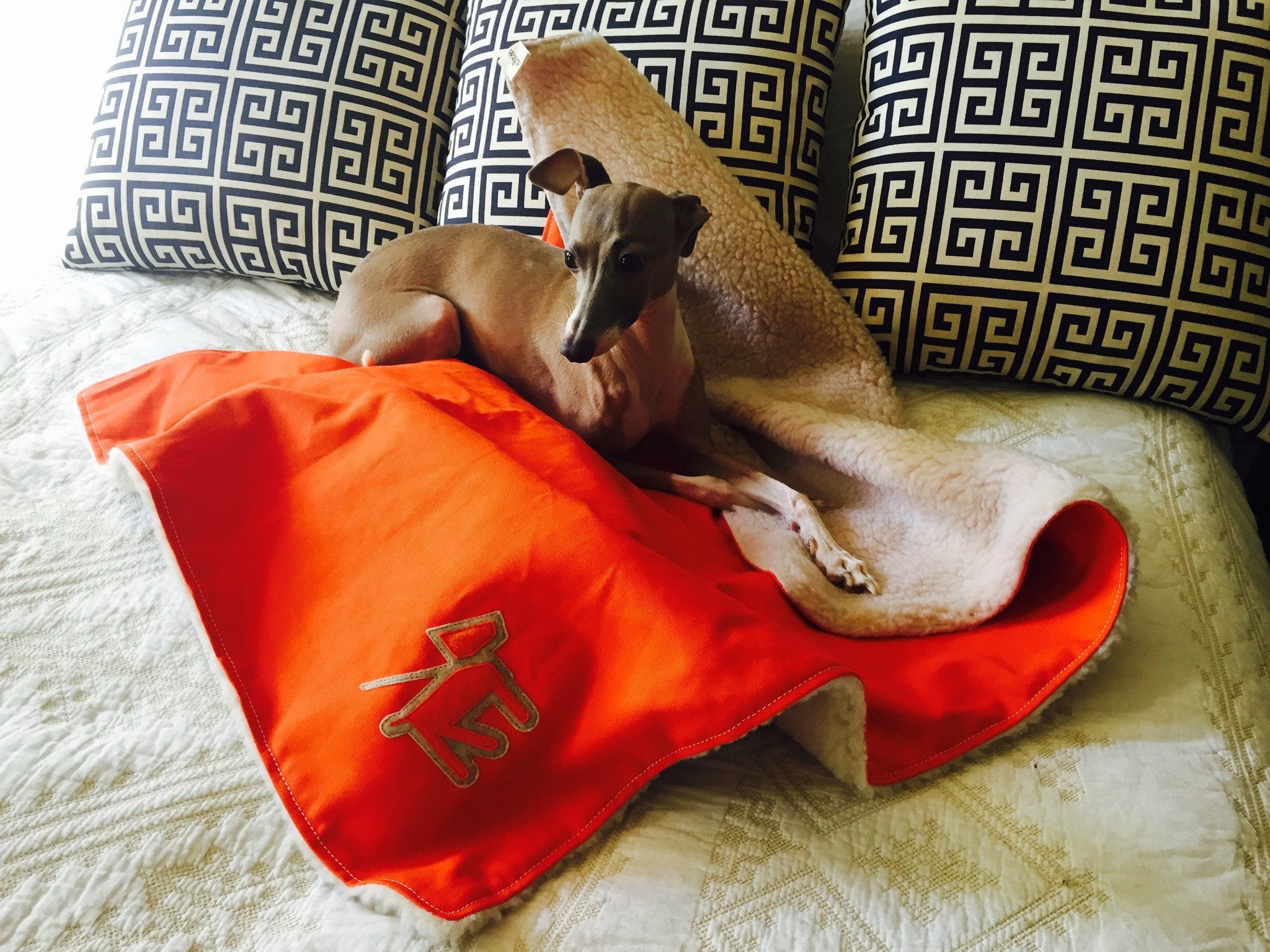 Canvas Fleece Dog Blanket - Rocky & Maggie's Pet Boutique and Salon