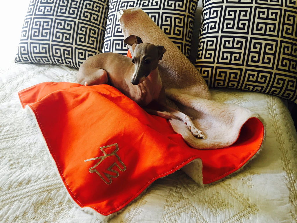 Canvas Fleece Dog Blanket - Rocky & Maggie's Pet Boutique and Salon