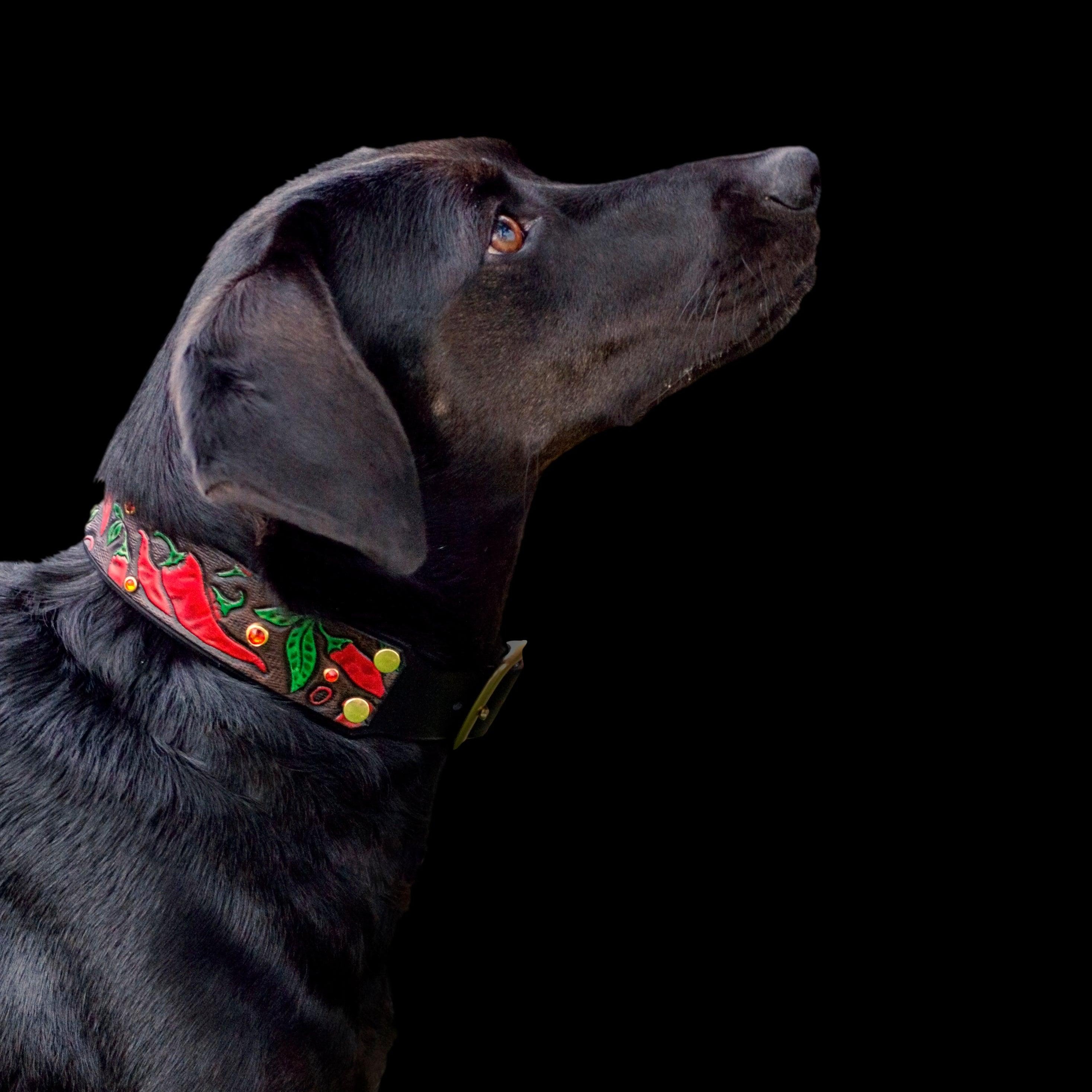 Chili Peppers Leather Collar - Rocky & Maggie's Pet Boutique and Salon