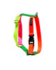 Memphis Harness - Rocky & Maggie's Pet Boutique and Salon