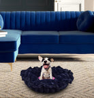 Cuddle Pod - Midnight Blue and Lollipop - Rocky & Maggie's Pet Boutique and Salon