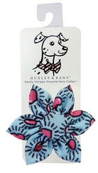 Mod Blue Hearts Pinwheel by Huxley & Kent - Rocky & Maggie's Pet Boutique and Salon