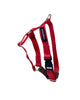 Contrast Nylon Harness - Rocky & Maggie's Pet Boutique and Salon