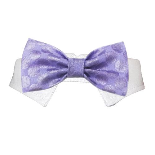 Dylan Bow Tie - Rocky & Maggie's Pet Boutique and Salon