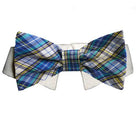 Issac Bow Tie - Rocky & Maggie's Pet Boutique and Salon