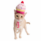 Cupcake Cat Hat - Rocky & Maggie's Pet Boutique and Salon
