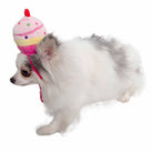 Cupcake Dog Hat - Rocky & Maggie's Pet Boutique and Salon