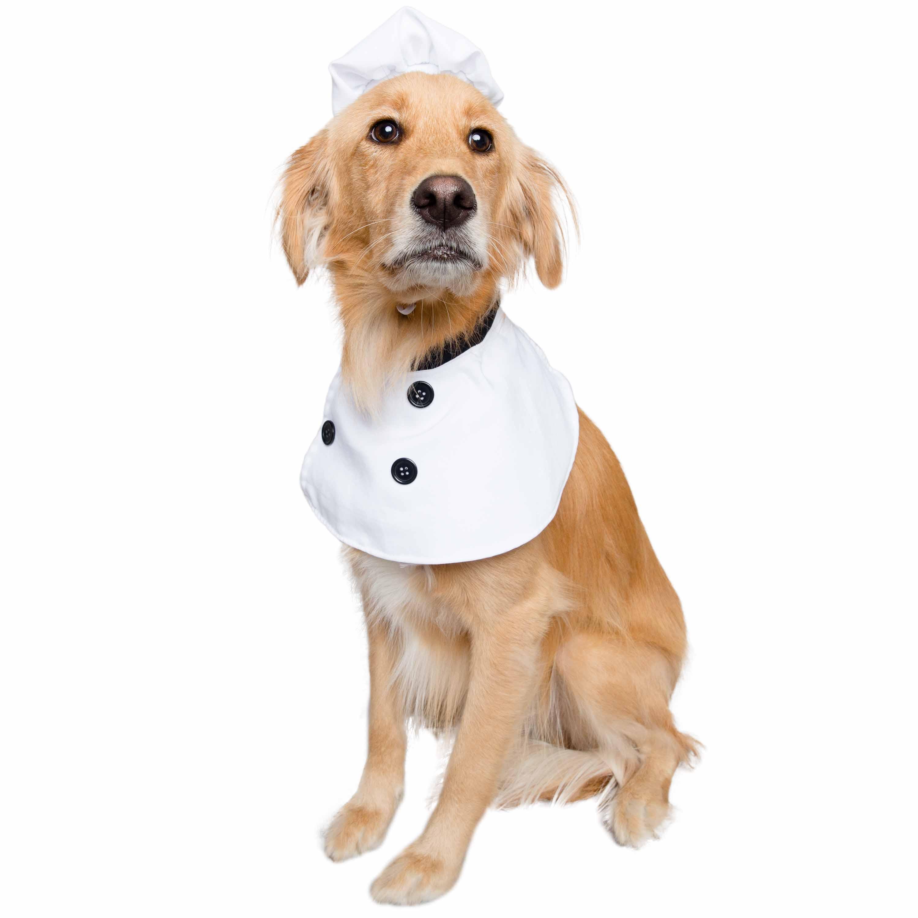 Chef Uniform Dog Costume - Rocky & Maggie's Pet Boutique and Salon