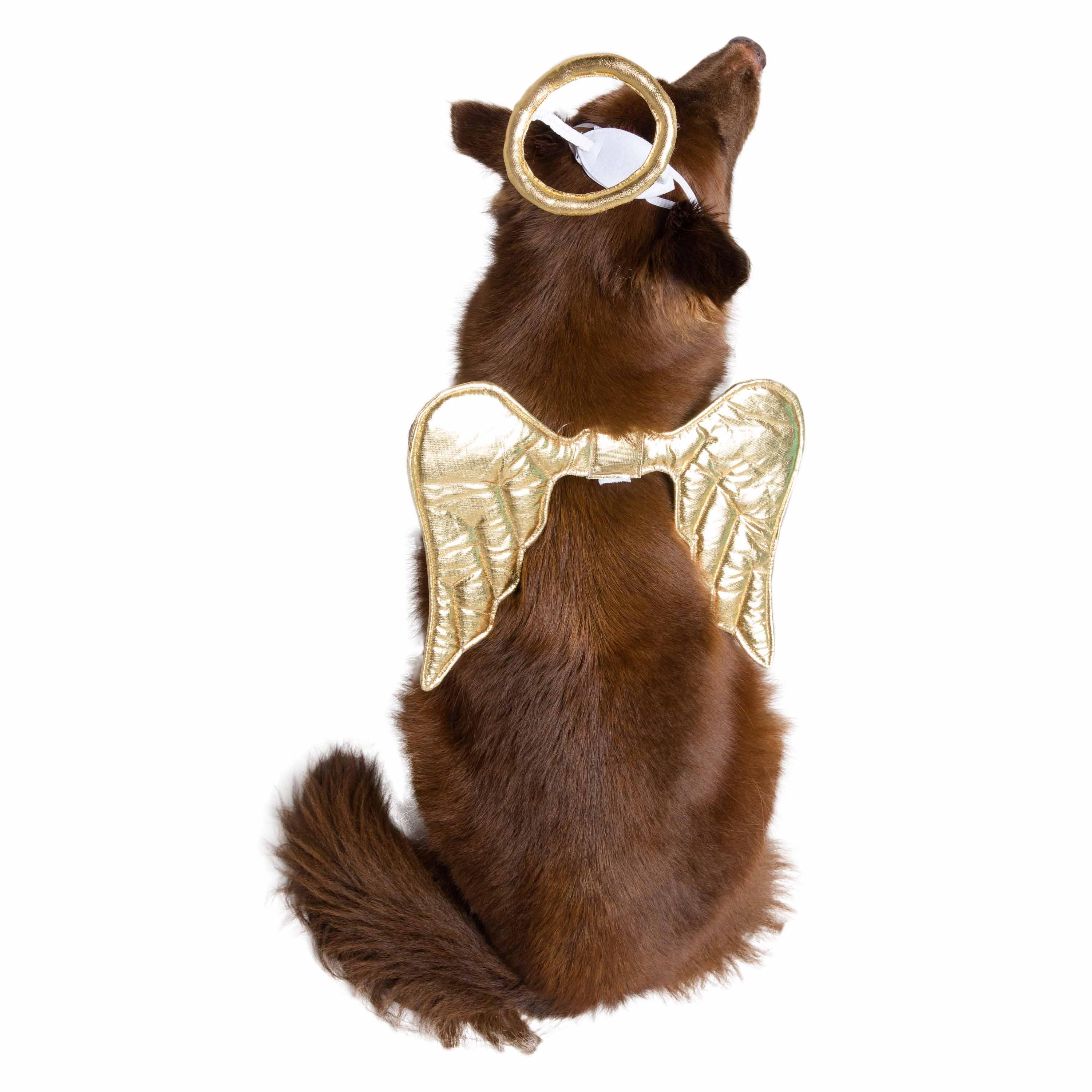 Angel Dog Costume - Rocky & Maggie's Pet Boutique and Salon
