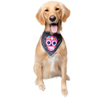 Glow-In-The-Dark Skull Pet Bandana - Rocky & Maggie's Pet Boutique and Salon