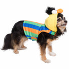 Sesame Street Bert Dog Hoodie - Rocky & Maggie's Pet Boutique and Salon