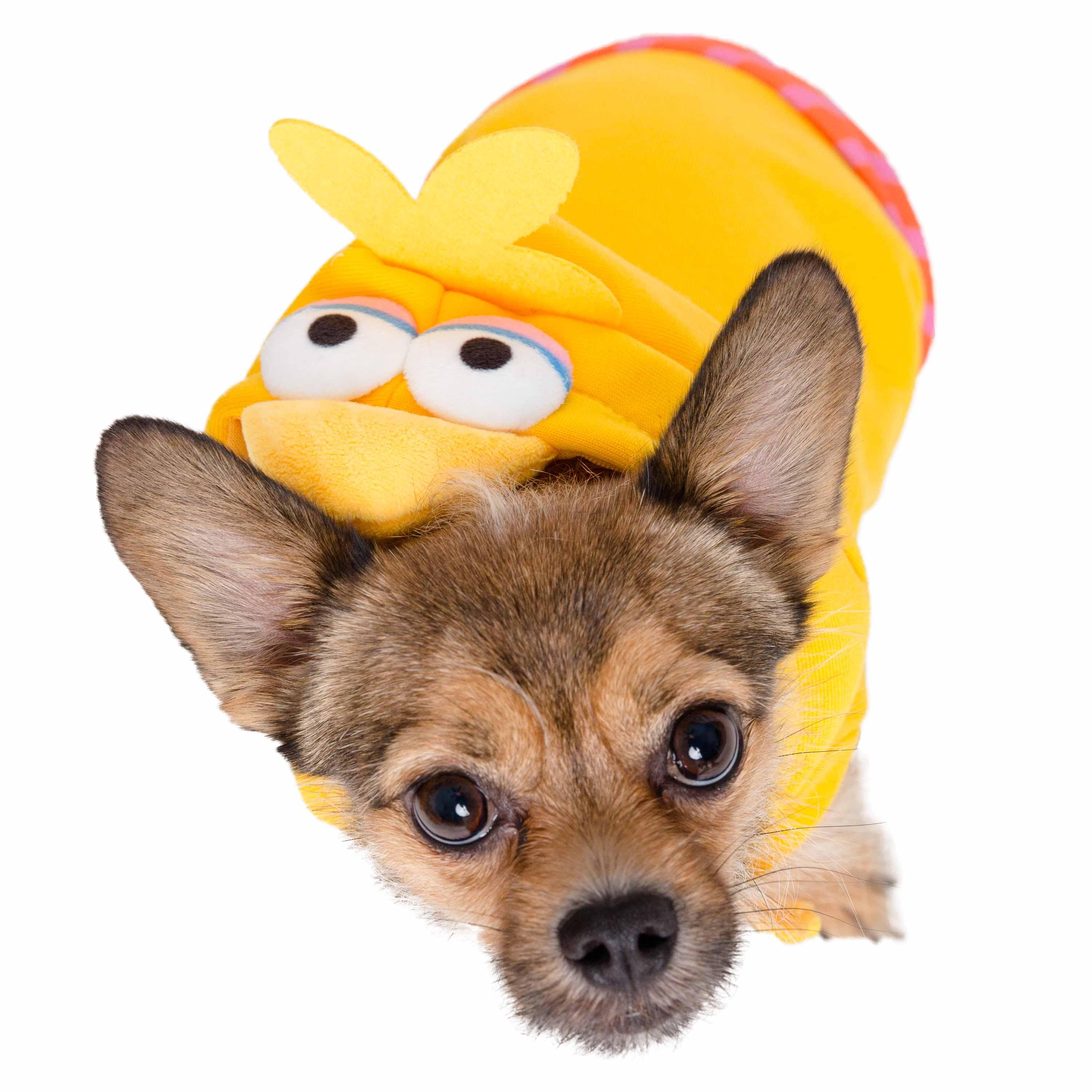 Sesame Street Big Bird Dog Hoodie - Rocky & Maggie's Pet Boutique and Salon