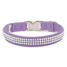 French Lavender 3 Row Giltmore Perfect Fit Collar - Rocky & Maggie's Pet Boutique and Salon