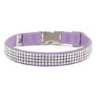 French Lavender 4 Row Giltmore Perfect Fit Collar - Rocky & Maggie's Pet Boutique and Salon