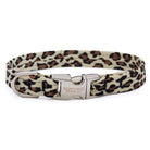Cheetah Light Perfect Fit Collar - Rocky & Maggie's Pet Boutique and Salon