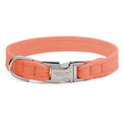 Peaches N Cream Perfect Fit Collar - Rocky & Maggie's Pet Boutique and Salon