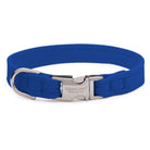 Royal Blue Perfect Fit Collar - Rocky & Maggie's Pet Boutique and Salon
