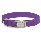 Ultraviolet Perfect Fit Collar - Rocky & Maggie's Pet Boutique and Salon