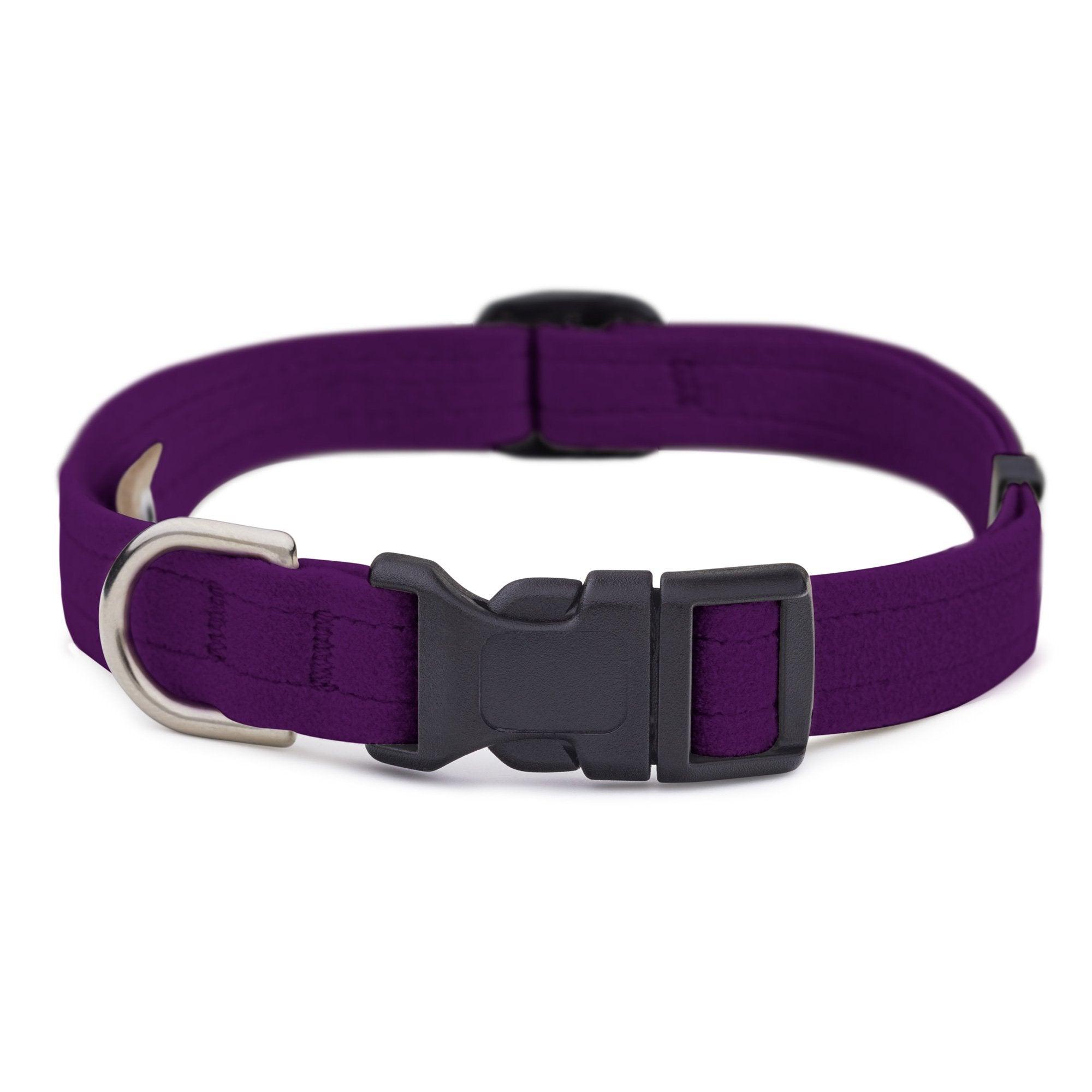 Amethyst Quick Release Collar - Rocky & Maggie's Pet Boutique and Salon