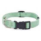 Mint Quick Release Collar - Rocky & Maggie's Pet Boutique and Salon