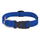 Royal Blue Quick Release Collar - Rocky & Maggie's Pet Boutique and Salon
