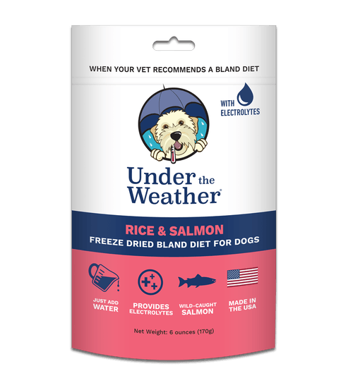 Rice & Salmon Freeze-Dried Bland Diet for Dogs - Rocky & Maggie's Pet Boutique and Salon