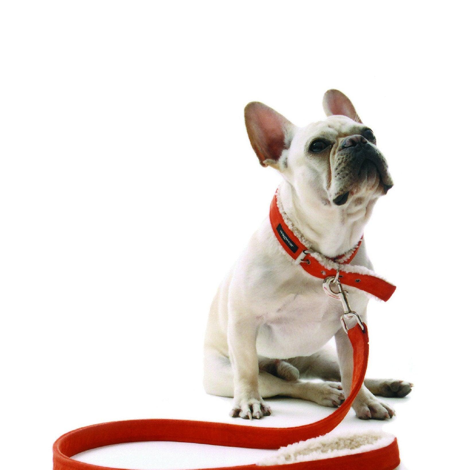 Suede Shearling Leash - Rocky & Maggie's Pet Boutique and Salon