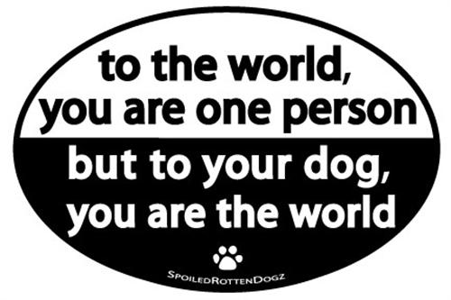 Car Magnets - Rocky & Maggie's Pet Boutique and Salon