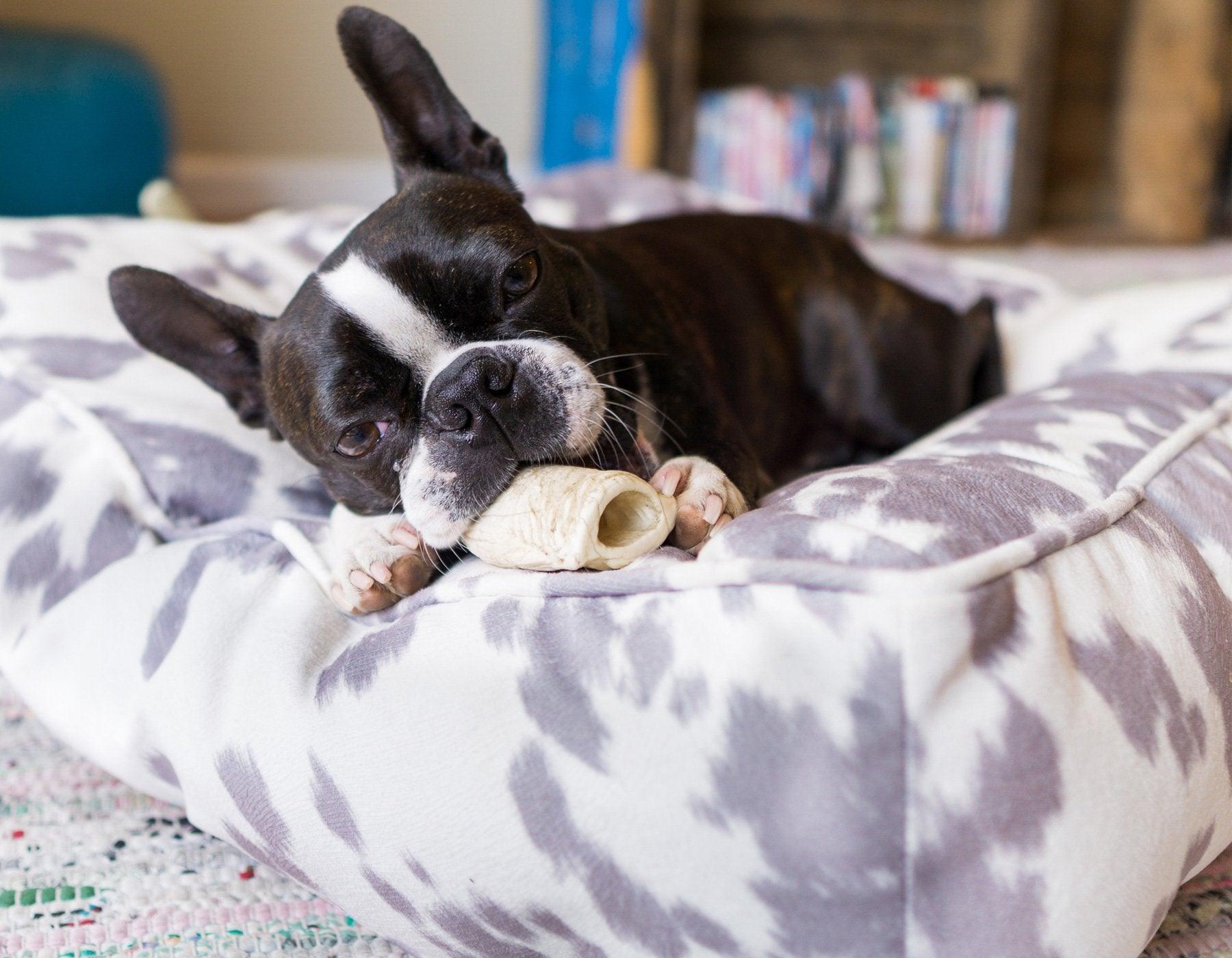 Pillowtop discount dog bed