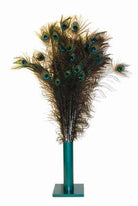 Natural Peacock Feathers - Rocky & Maggie's Pet Boutique and Salon