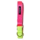 Memphis Collar - Rocky & Maggie's Pet Boutique and Salon