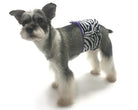 Wild Child - Zebra Belly Band - Rocky & Maggie's Pet Boutique and Salon