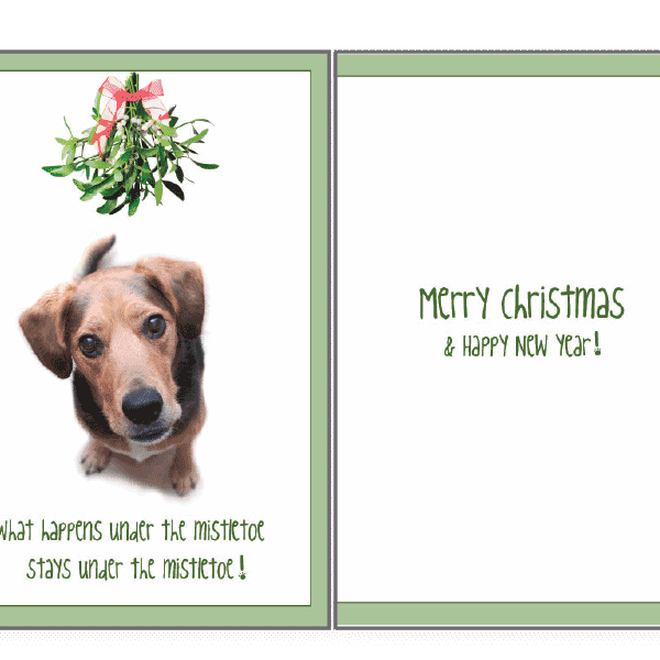 What Happens Under the Mistletoe Holiday Greeting Card - Rocky & Maggie's Pet Boutique and Salon