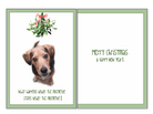 What Happens Under the Mistletoe Holiday Greeting Card - Rocky & Maggie's Pet Boutique and Salon